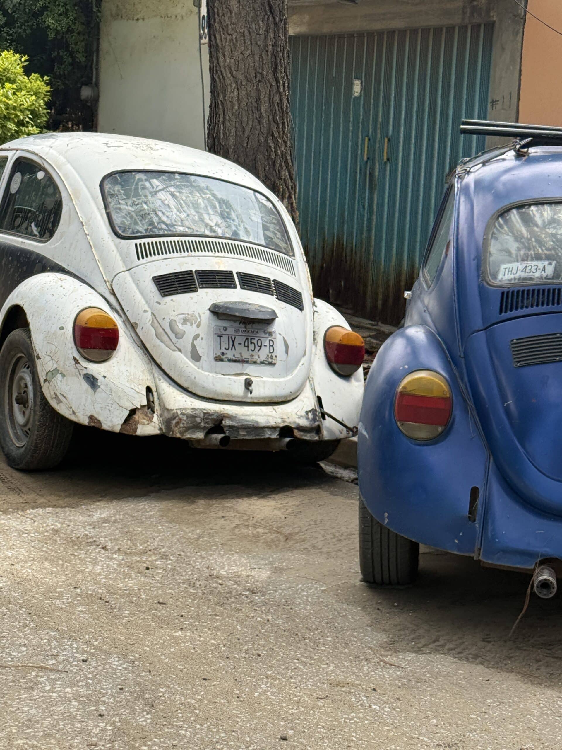 … et d’autres qui ont plus de rides…