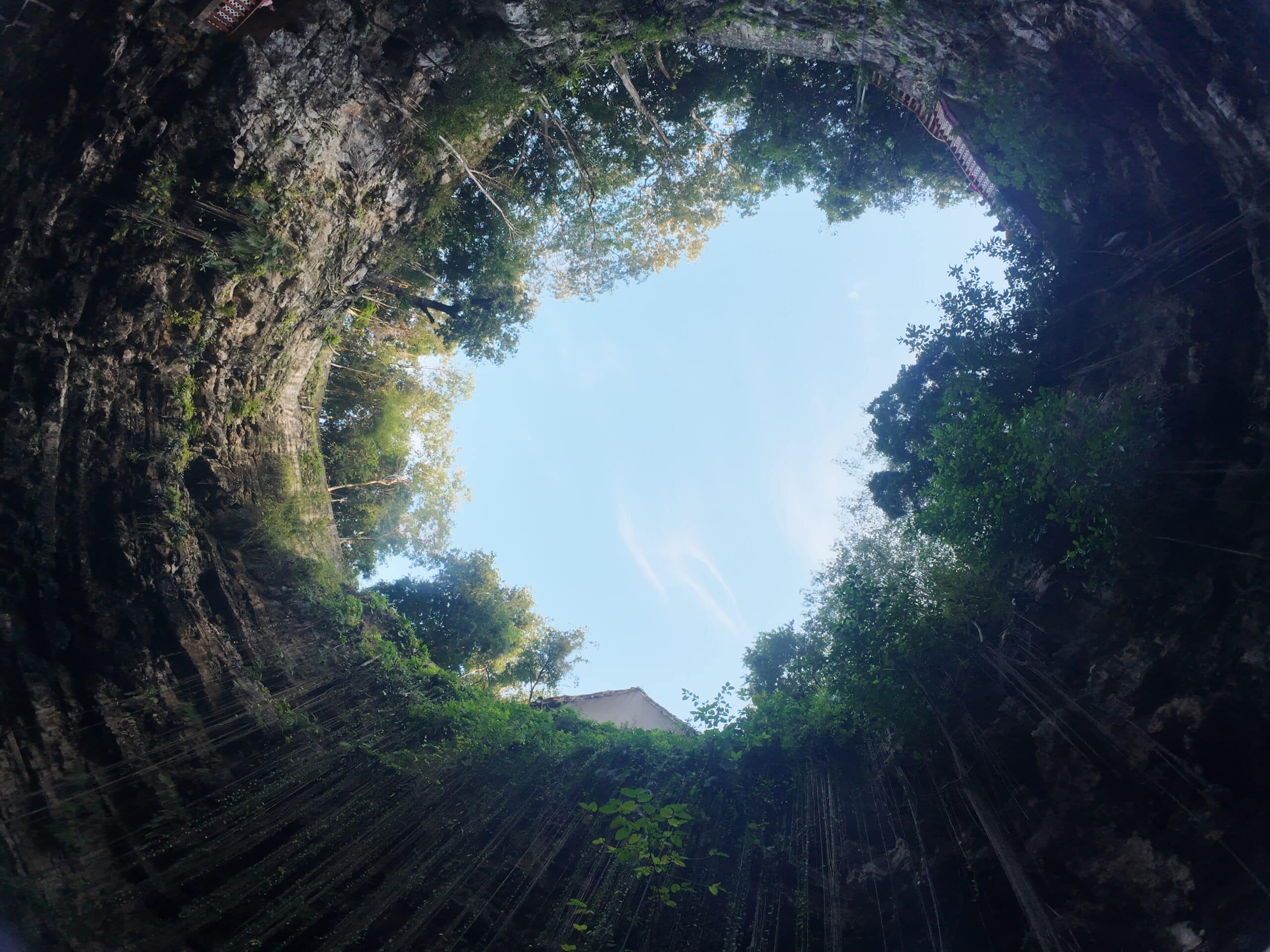 vue du ciel depuis la cenote.